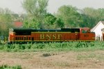 BNSF 503